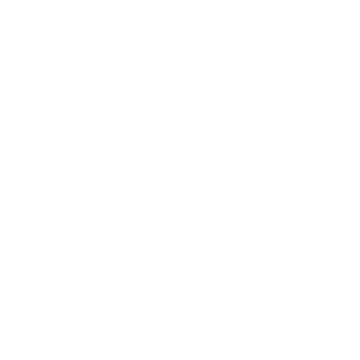 zillow icon